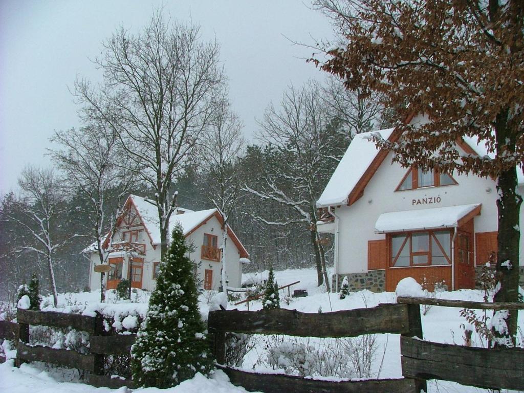 Szarvas Panzio Hotel Erdőbénye Buitenkant foto
